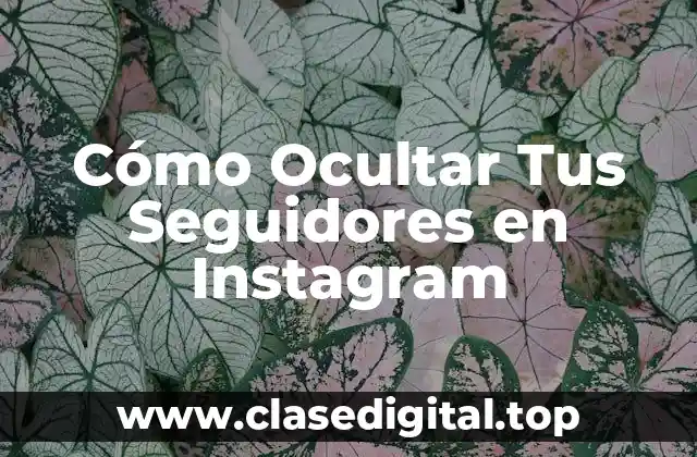 ¿Por qué Quieres Ocultar Tus Seguidores en Instagram?