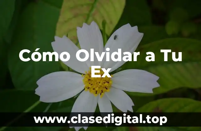Cómo Olvidar a Tu Ex