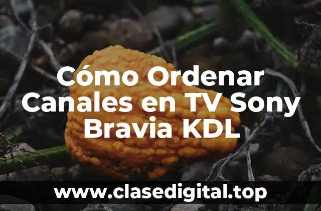 Cómo Ordenar Canales en TV Sony Bravia KDL