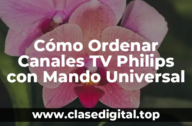 Cómo Ordenar Canales TV Philips con Mando Universal