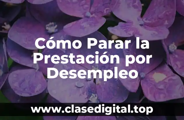 ¿Cuándo se Debe Parar la Prestación por Desempleo?