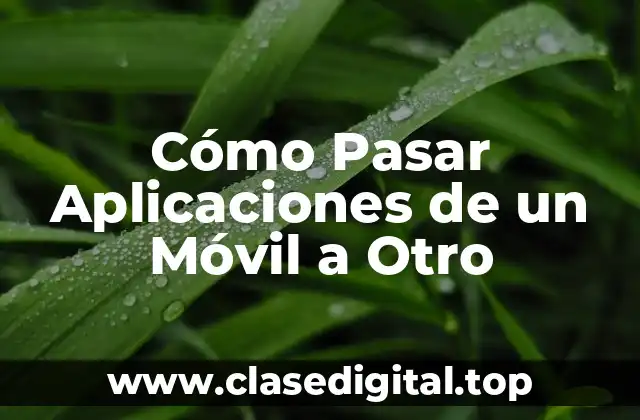 ¿Por Qué Es Importante Pasar Aplicaciones de un Móvil a Otro?