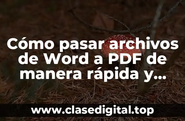 ¿Por qué es importante convertir archivos de Word a PDF?