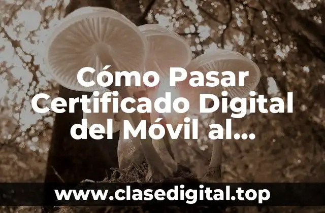Cómo Pasar Certificado Digital del Móvil al Ordenador de Forma Segura