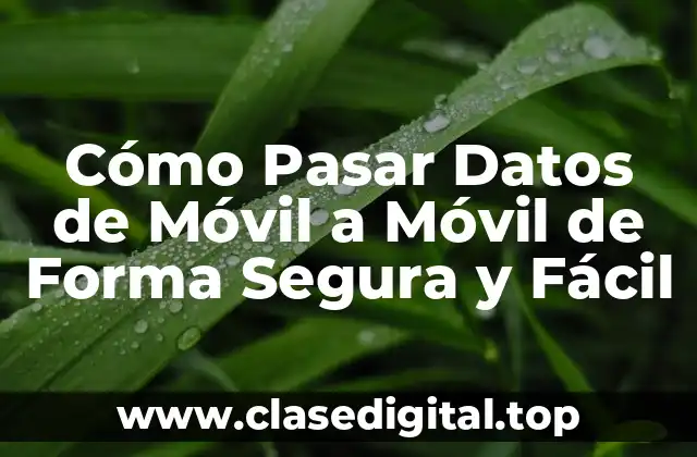 Cómo Pasar Datos de Móvil a Móvil de Forma Segura y Fácil