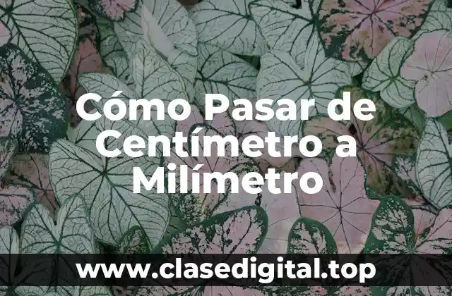 Cómo Pasar de Centímetro a Milímetro