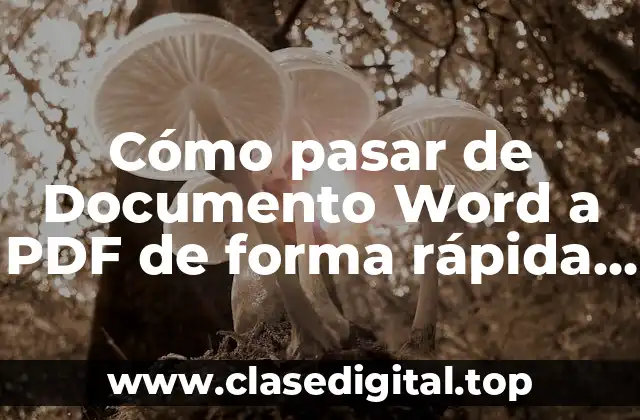 ¿Por qué es importante convertir documentos de Word a PDF?
