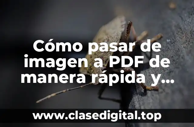 Cómo pasar de imagen a PDF de manera rápida y sencilla