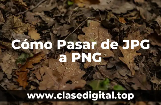 Cómo Pasar de JPG a PNG