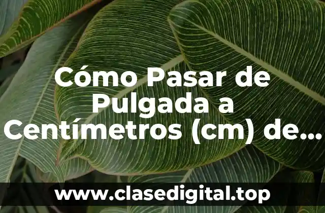 ¿Por qué es Importante la Conversión de Unidades de Longitud?