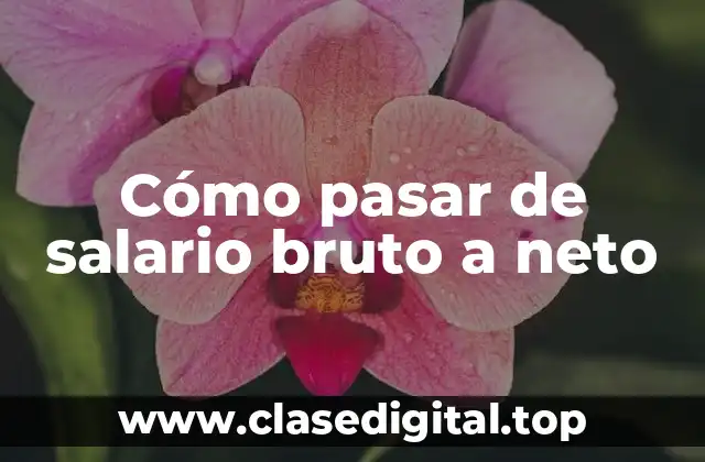 ¿Qué es el salario bruto?