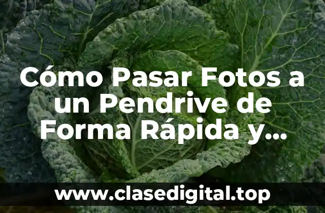 Cómo Pasar Fotos a un Pendrive de Forma Rápida y Segura