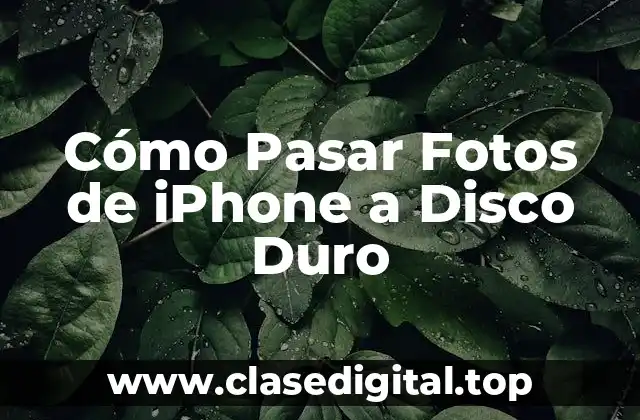 ¿Por qué Debes Pasar Fotos de iPhone a Disco Duro?