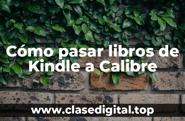 ¿Por qué debes pasar libros de Kindle a Calibre?