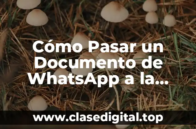 ¿Por qué es Importante Transferir Documentos de WhatsApp a la Computadora?