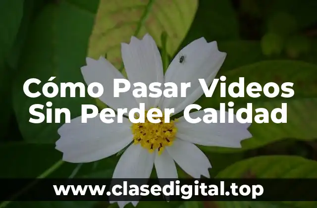Cómo Pasar Videos Sin Perder Calidad