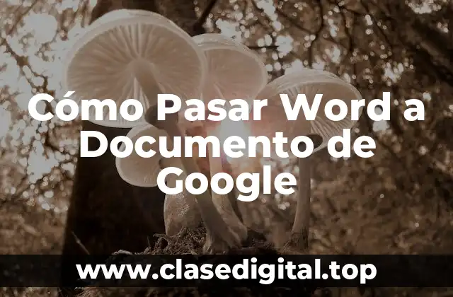 Ventajas de Utilizar Documentos de Google