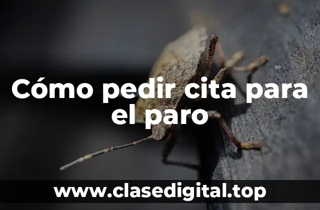 ¿Por qué es importante pedir cita para el paro?