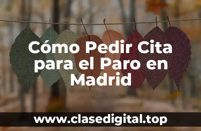 Cómo Pedir Cita para el Paro en Madrid