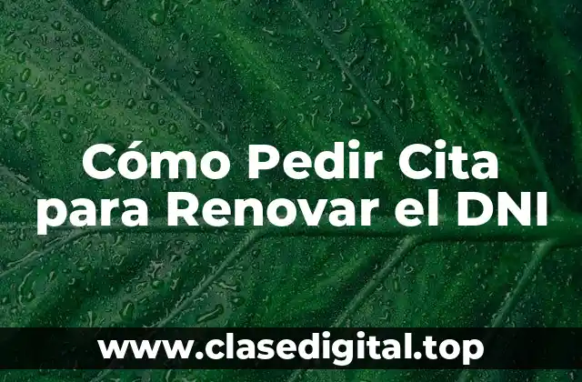 Cómo Pedir Cita para Renovar el DNI