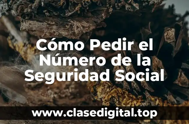Cómo Pedir el Número de la Seguridad Social