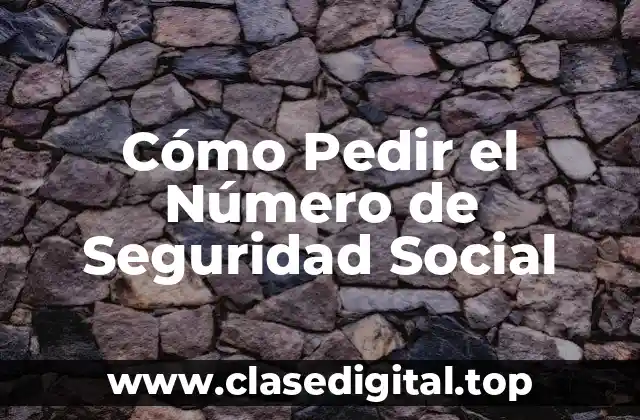 Cómo Pedir el Número de Seguridad Social