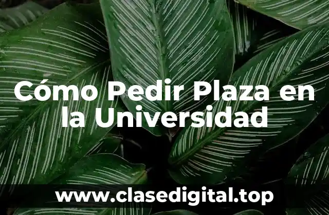 ¿Qué Documentos Necesito para Pedir Plaza en la Universidad?