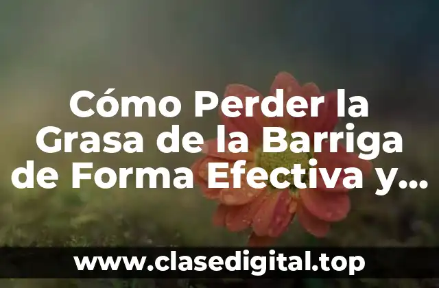 Cómo Perder la Grasa de la Barriga de Forma Efectiva y Saludable