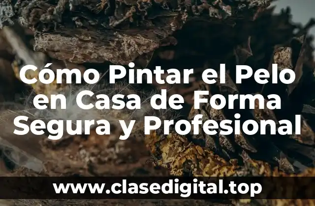 Preparación para Pintar el Pelo en Casa