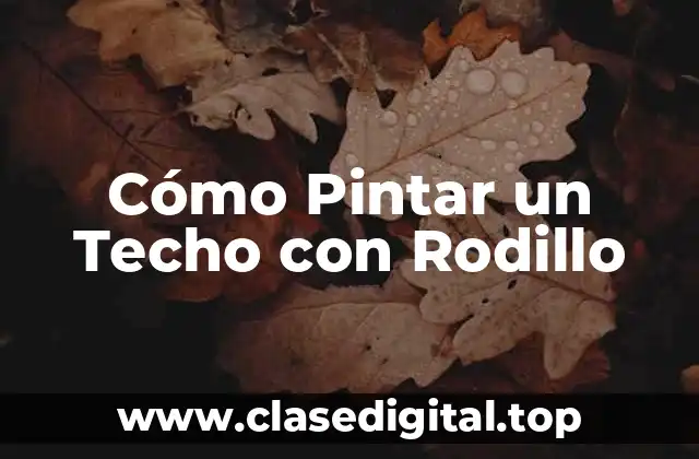 Cómo Pintar un Techo con Rodillo