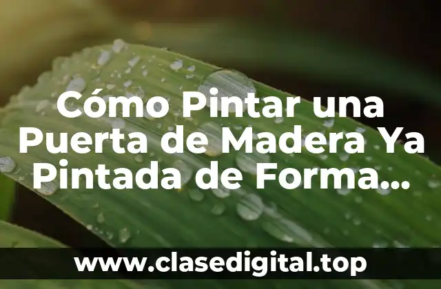 Preparación de la Puerta para la Repintura