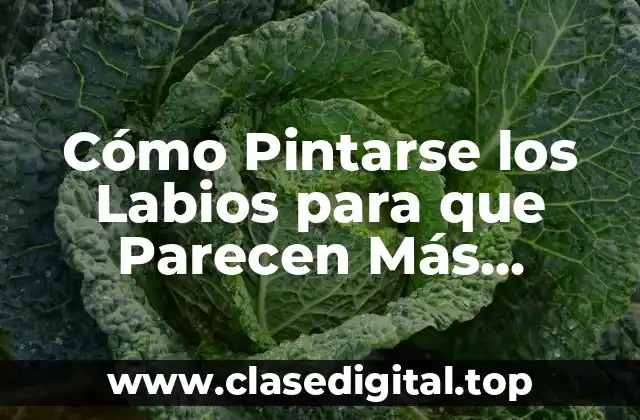 Elección del Color de Lápiz Labial Apropiado