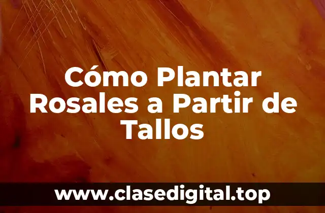 Cómo Plantar Rosales a Partir de Tallos