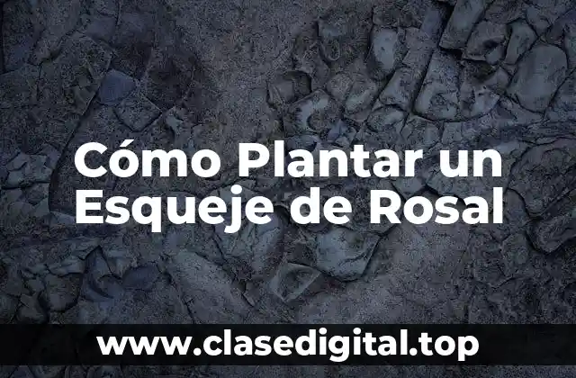 Cómo Plantar un Esqueje de Rosal