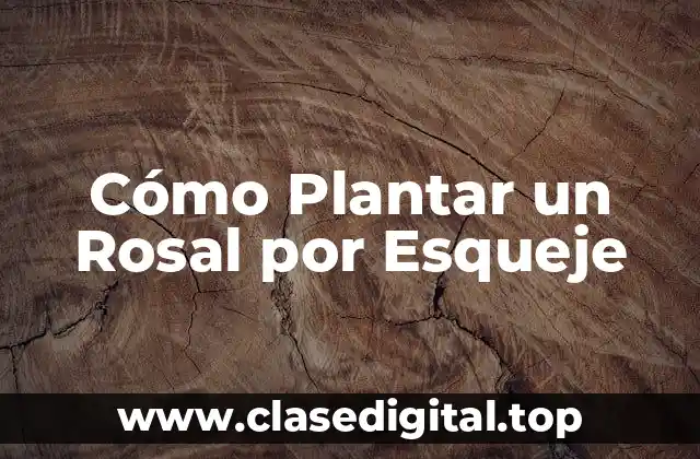 Cómo Plantar un Rosal por Esqueje