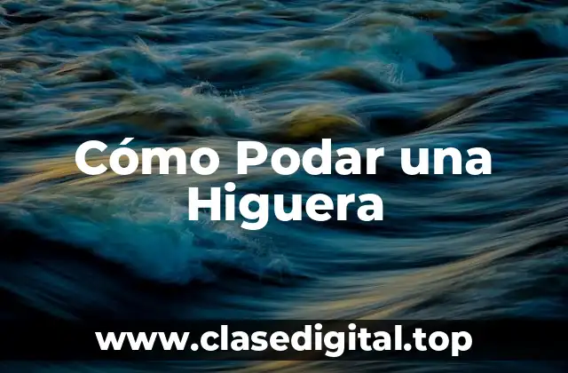 ¿Por Qué es Importante la Podación en las Higueras?