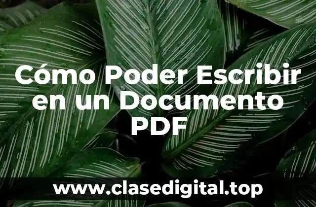 Cómo Poder Escribir en un Documento PDF