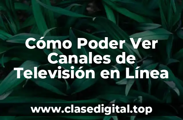 Cómo Poder Ver Canales de Televisión en Línea