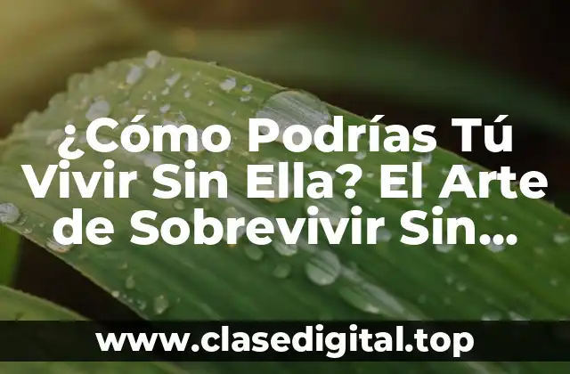 ¿Cómo Podrías Tú Vivir Sin Ella? El Arte de Sobrevivir Sin una Persona Especial