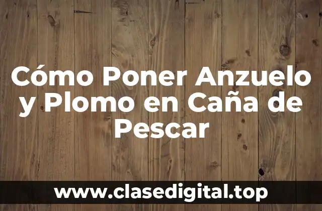 Cómo Poner Anzuelo y Plomo en Caña de Pescar