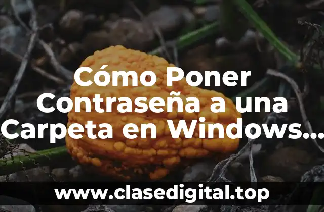 ¿Por qué es Importante Proteger Tus Carpetas en Windows 11?