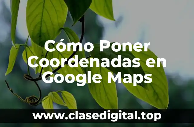 Cómo Poner Coordenadas en Google Maps