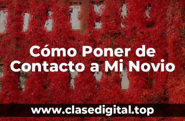 Cómo Poner de Contacto a Mi Novio
