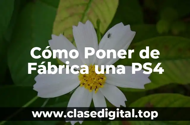Cómo Poner de Fábrica una PS4