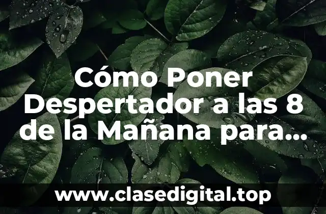 ¿Por qué Debes Poner Despertador a las 8 de la Mañana?