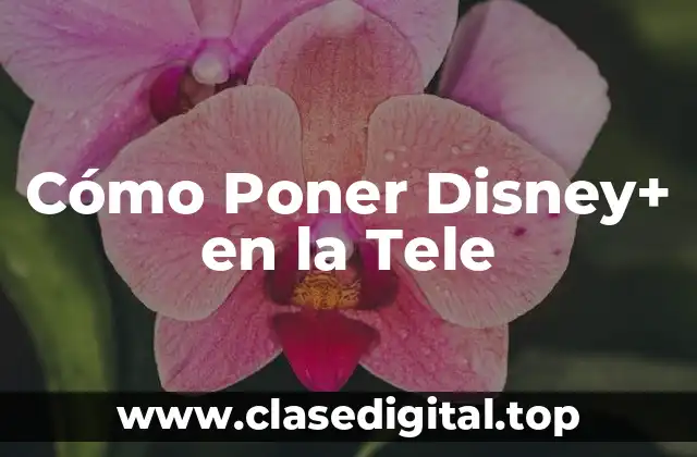 Cómo Poner Disney+ en la Tele