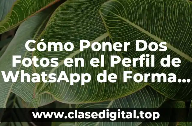 Cómo Poner Dos Fotos en el Perfil de WhatsApp de Forma Segura y Personalizada