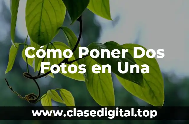 Cómo Poner Dos Fotos en Una