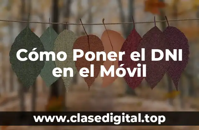 Cómo Poner el DNI en el Móvil