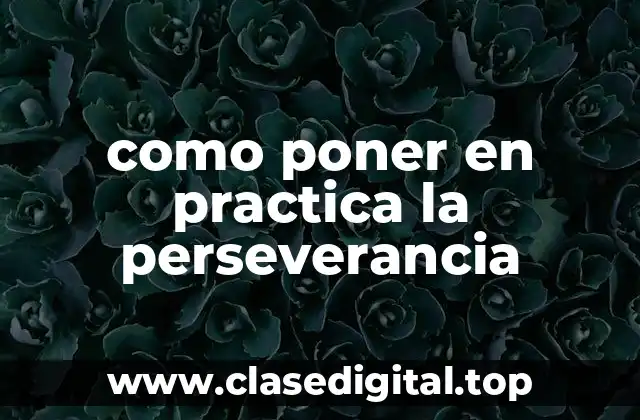 como poner en practica la perseverancia